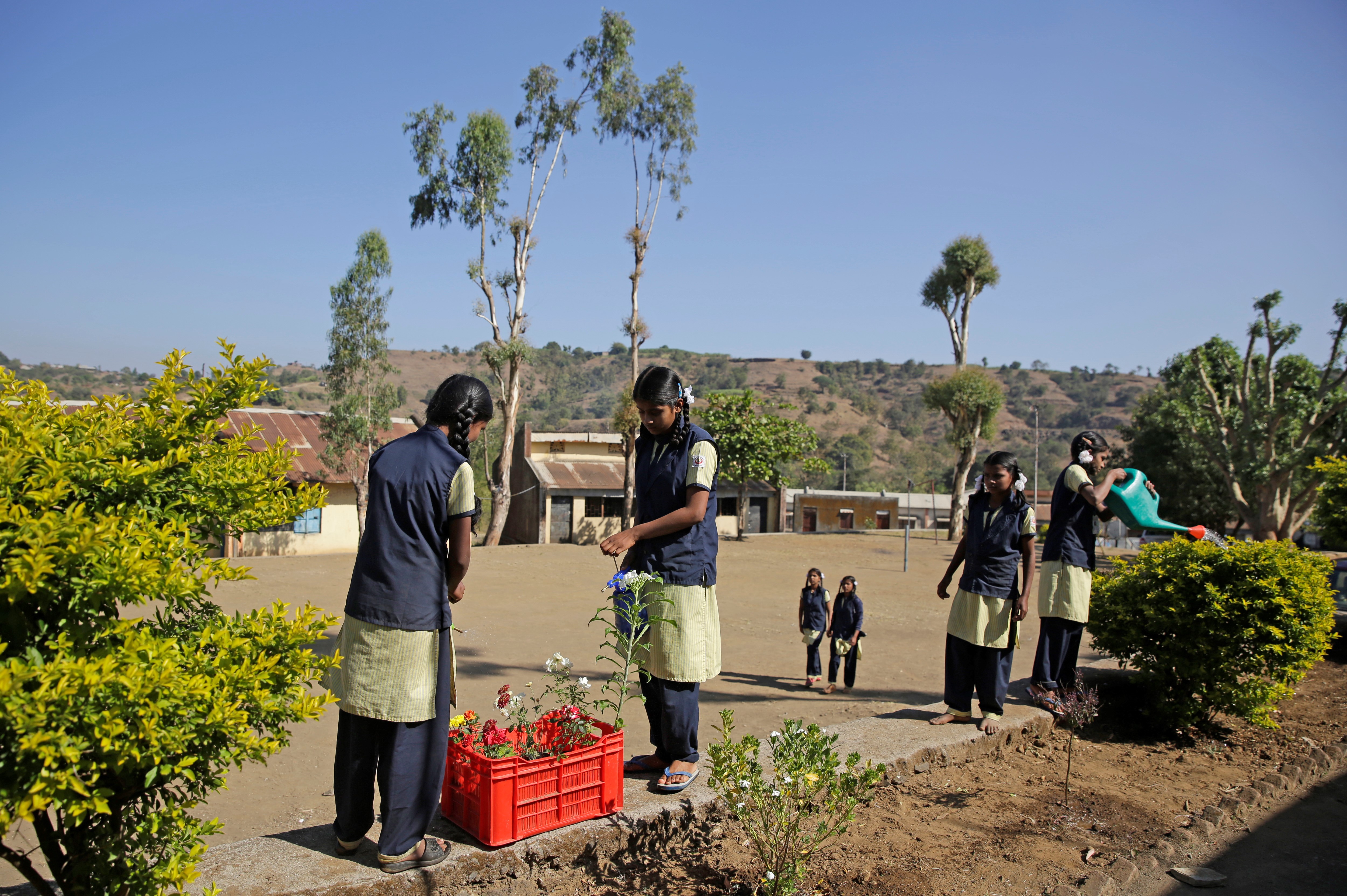 Kitchen garden