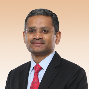 Mr. Rajesh Gopinathan